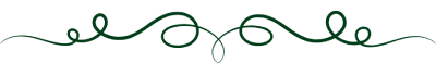 Line Decor