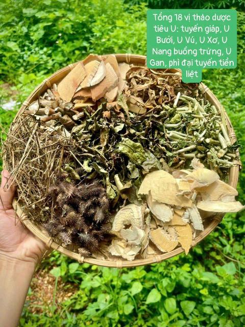 Thao Duoc Tieu U 2
